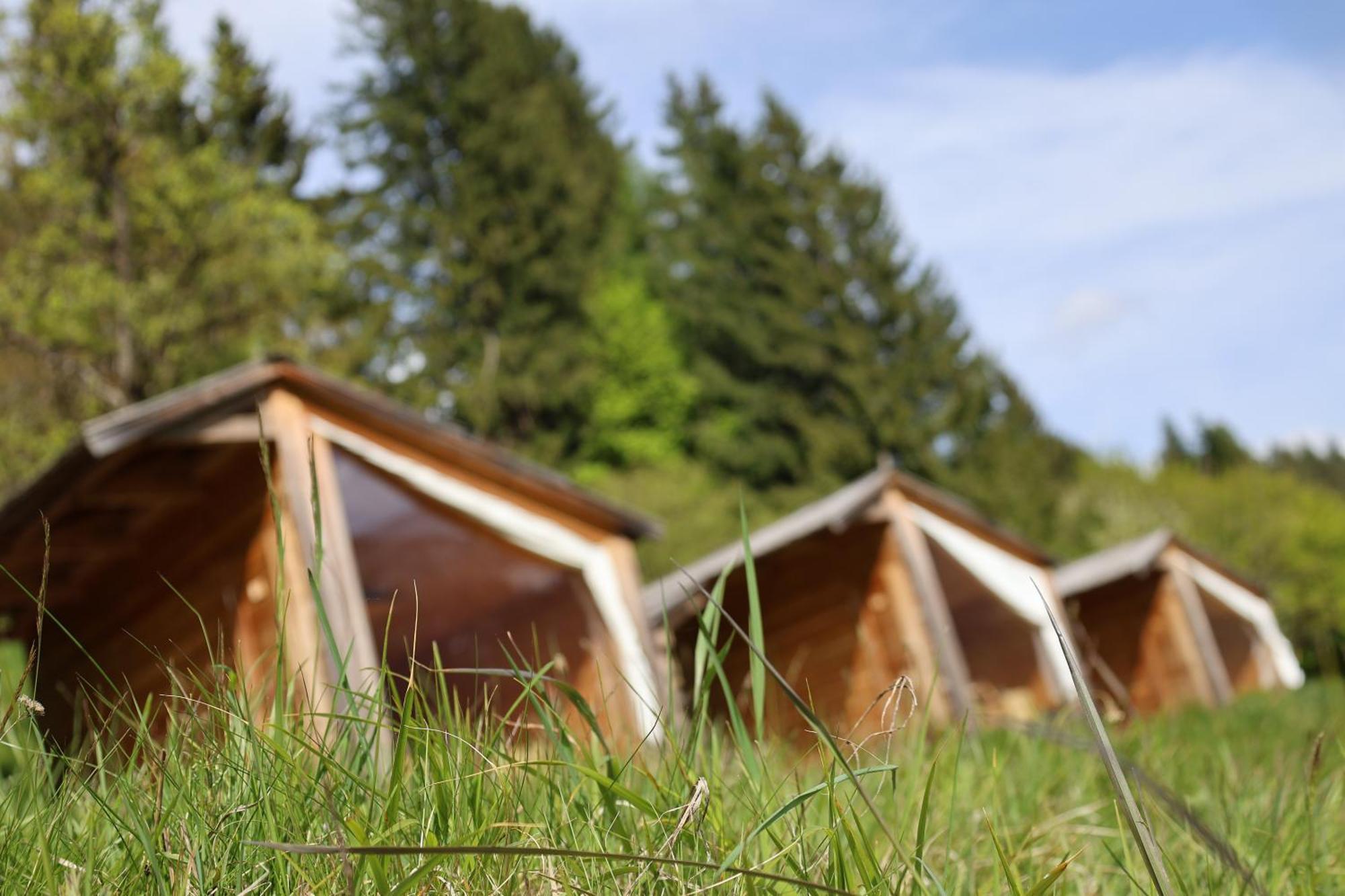 Willa Mountain View Glamping Dovje Zewnętrze zdjęcie