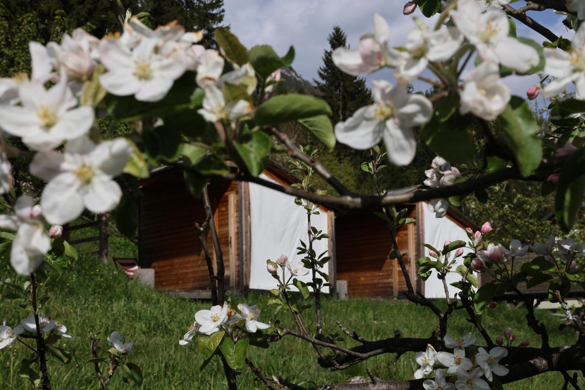 Willa Mountain View Glamping Dovje Zewnętrze zdjęcie