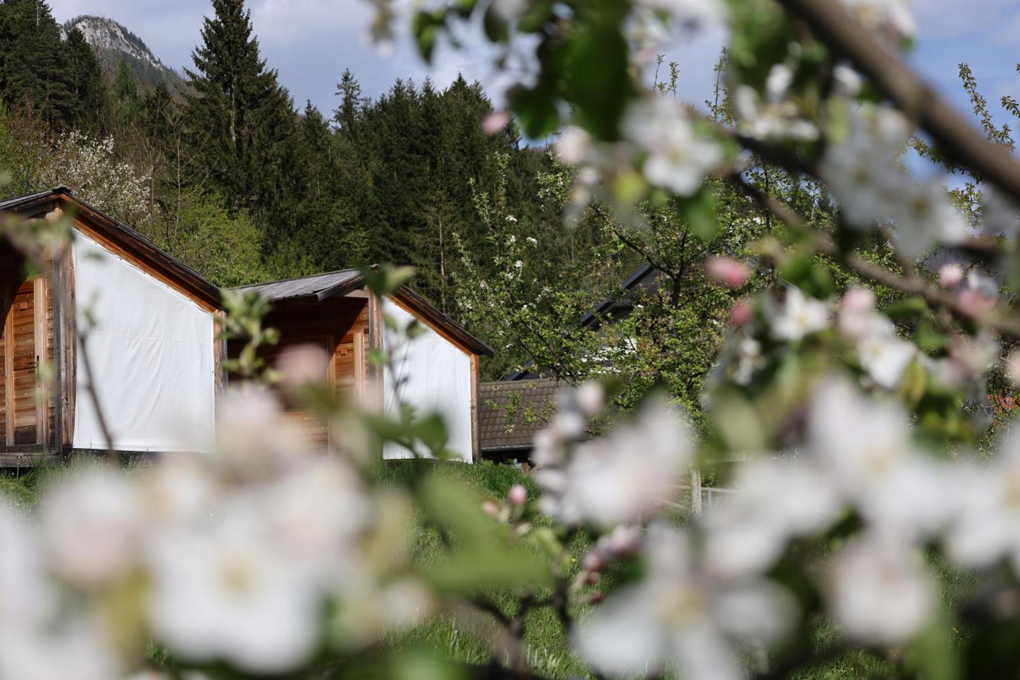 Willa Mountain View Glamping Dovje Zewnętrze zdjęcie