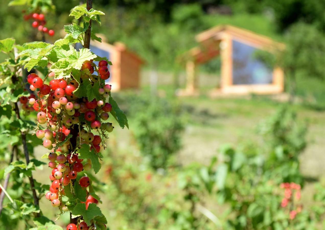 Willa Mountain View Glamping Dovje Zewnętrze zdjęcie