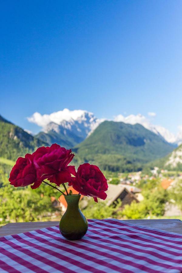 Willa Mountain View Glamping Dovje Zewnętrze zdjęcie
