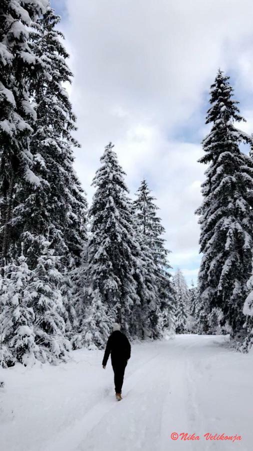 Willa Mountain View Glamping Dovje Zewnętrze zdjęcie