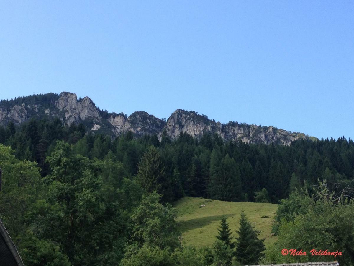 Willa Mountain View Glamping Dovje Zewnętrze zdjęcie