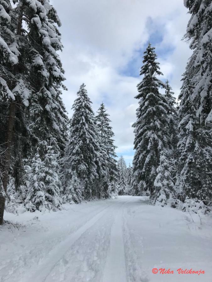 Willa Mountain View Glamping Dovje Zewnętrze zdjęcie
