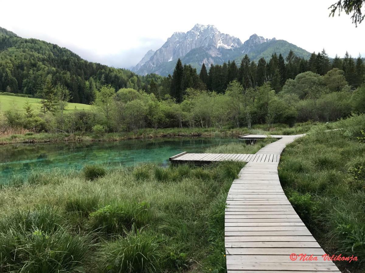 Willa Mountain View Glamping Dovje Zewnętrze zdjęcie