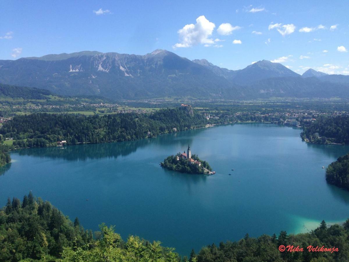 Willa Mountain View Glamping Dovje Zewnętrze zdjęcie