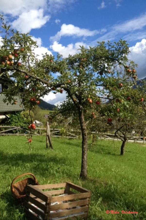 Willa Mountain View Glamping Dovje Zewnętrze zdjęcie